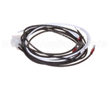 8062079SP Frymaster Harness Wr B/L Motor Untry H50