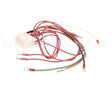 8067664SP Frymaster Harness, C1 Fv Mcd Domes. Com.