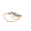 8068688SP Compatible Frymaster Pilotassy, Natural Gas