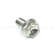 807084 Briggs & Stratton Screw