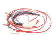 8075803 Frymaster Harness, Bulk Oil/Topoff Fib