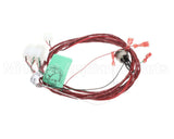 8075812 Frymaster Harness, Dispose/Pan Sw/Rti