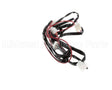 8076448 Frymaster Wire Harness
