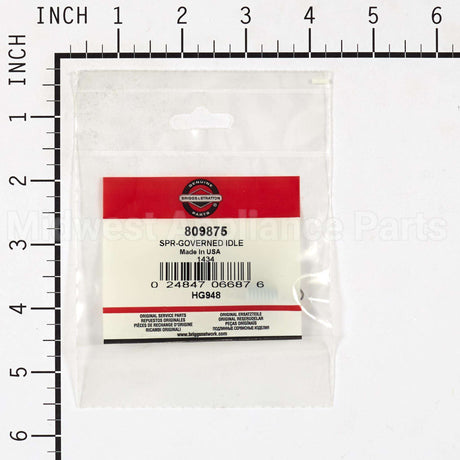 809875 Briggs & Stratton Spring Governed Idle