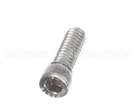 810229 Globe Shc Screw 1/4-20 X 3/4 Ss