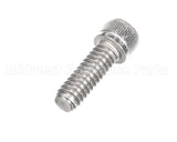 810229 Globe Shc Screw 1/4-20 X 3/4 Ss