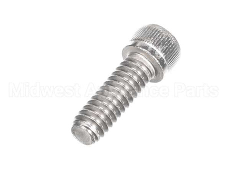810229 Globe Shc Screw 1/4-20 X 3/4 Ss