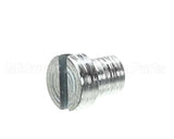 810335 Globe Gauge Plate Support Screw