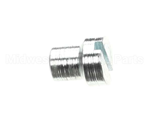 810335 Globe Gauge Plate Support Screw