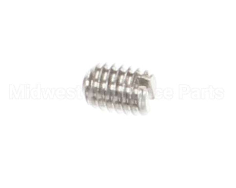 810382 Globe Set Screw, Stn. Stl. Slotted
