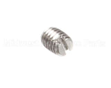 810382 Globe Set Screw, Stn. Stl. Slotted