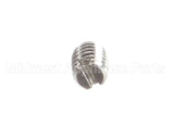810382 Globe Set Screw, Stn. Stl. Slotted