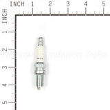 810C Champion Ra8Hc Sm Eng Plug Carded