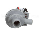 81272 Blakeslee Drain Pump