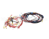 81316 Blakeslee Blakslee Wiring Harness
