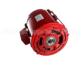 817025-005 Armstrong Fluid Technology 115V 1/6 Hp Motor