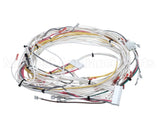 81W67 Lennox Wireharness J111-J113