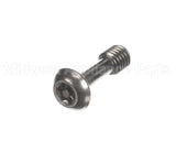 820027 Globe Modified Machine Screw
