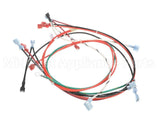 82029 Grindmaster Cecilware Harness, 800 Series