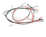 82029 Grindmaster Cecilware Harness, 800 Series
