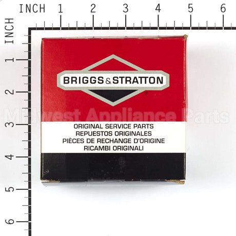 825232 Briggs & Stratton Pump-Fuel
