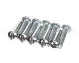 8261370 Frymaster Screw, (8090134) Qty. 10 (Pds)