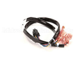 8075813 Frymaster Harness,Interface To I.m. Cap