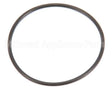 840020 Globe O-Ring