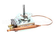 84017 Server Thermostat 79C
