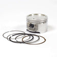 841837 Briggs & Stratton Piston Assy - Std