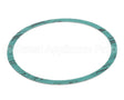 8426401-002 Armstrong 6" Casinig Gasket