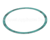 8426401-002 Armstrong 6" Casinig Gasket