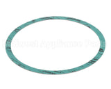 8426401-002 Armstrong 6" Casinig Gasket