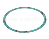 8426401-002 Armstrong 6" Casinig Gasket