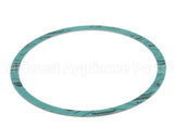 8426401-002 Armstrong 6" Casinig Gasket