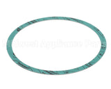 8426401-002 Armstrong 6" Casinig Gasket