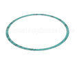 8426401-003 Armstrong Fluid Technology 8" Nitrile Casing Gasket