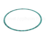 8426401-003 Armstrong Fluid Technology 8" Nitrile Casing Gasket