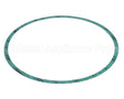 8426401-004 Armstrong Fluid Technology Gasket-Casing 10"