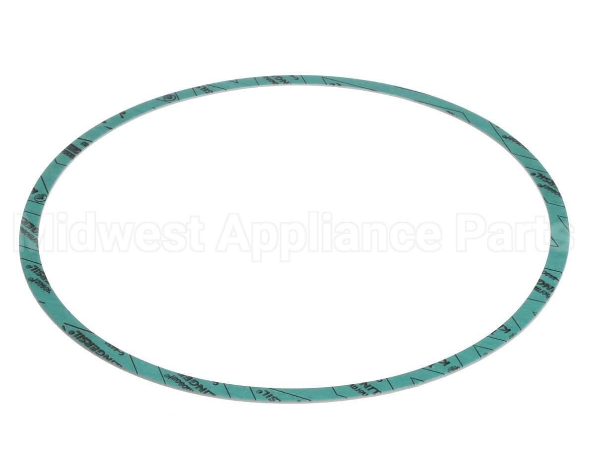 8426401-004 Armstrong Fluid Technology Gasket-Casing 10"