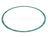 8426401-004 Armstrong Fluid Technology Gasket-Casing 10"