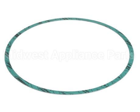 8426401-004 Armstrong Fluid Technology Gasket-Casing 10"