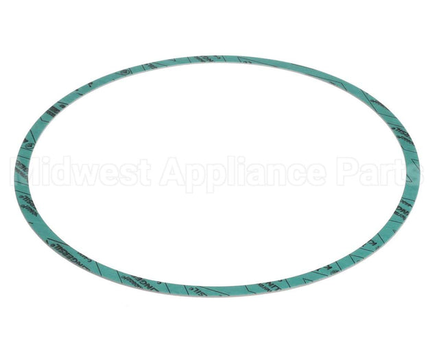 8426401-004 Armstrong Fluid Technology Gasket-Casing 10"