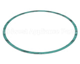 8426401-004 Armstrong Fluid Technology Gasket-Casing 10"