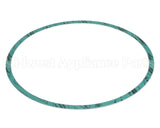 8426401-004 Armstrong Fluid Technology Gasket-Casing 10"