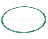 8426401-004 Armstrong Fluid Technology Gasket-Casing 10"