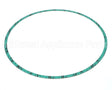 8426401-005 Armstrong Fluid Technology 13" Nitrile Gasket