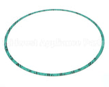 8426401-005 Armstrong Fluid Technology 13" Nitrile Gasket