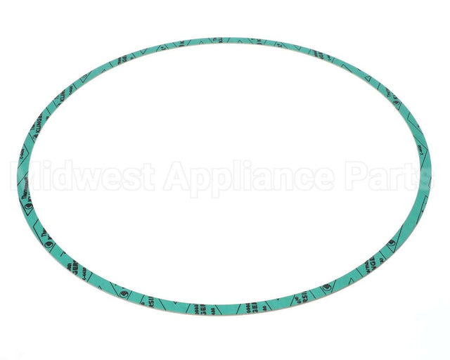 8426401-005 Armstrong Fluid Technology 13" Nitrile Gasket