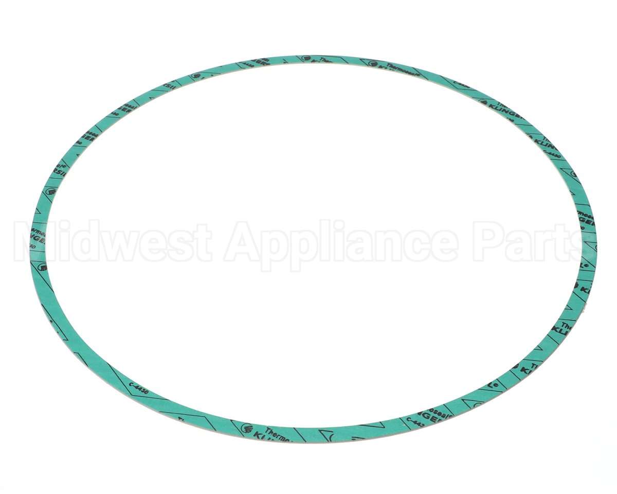 8426401-005 Armstrong Fluid Technology 13" Nitrile Gasket